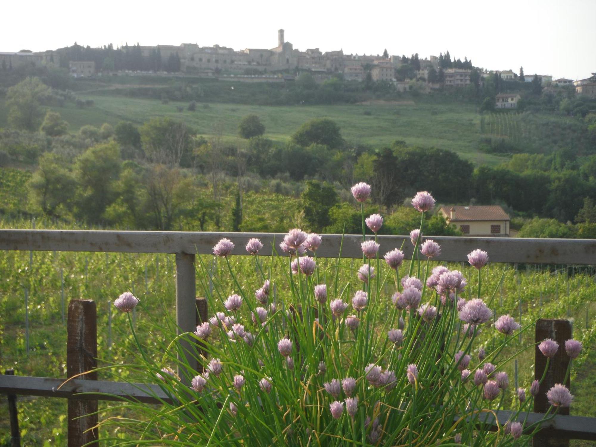 Due Piani Villa Barberino di Val dʼElsa Eksteriør billede