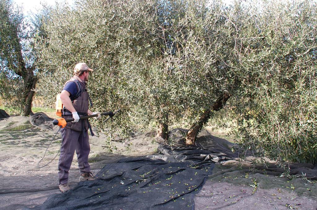 Due Piani Villa Barberino di Val dʼElsa Eksteriør billede