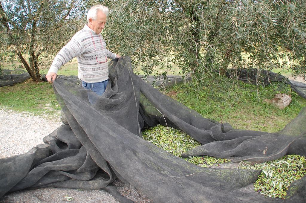 Due Piani Villa Barberino di Val dʼElsa Eksteriør billede