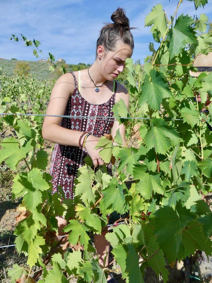 Due Piani Villa Barberino di Val dʼElsa Eksteriør billede